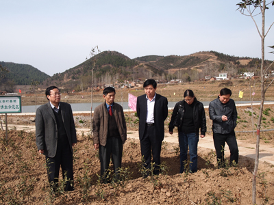 廣義茶基地標準園建安排部署2011年中部三省大別山茶產(chǎn)業(yè)會議