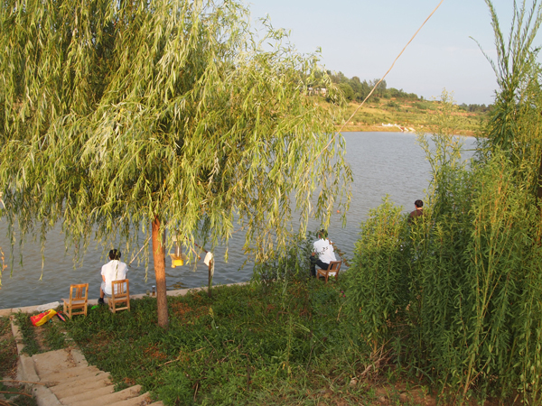 簡(jiǎn)單生活，魚(yú)樂(lè)其中