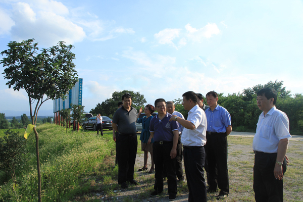 信陽市市長鄭志強陪同國家農(nóng)業(yè)部領(lǐng)導(dǎo)到廣義國家級茶葉標(biāo)準(zhǔn)園調(diào)研
