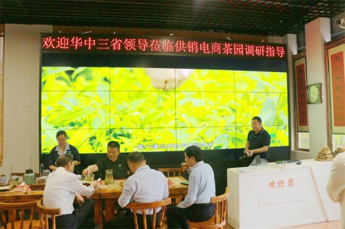 2023年5月25日華中三省供銷(xiāo)系統(tǒng)領(lǐng)導(dǎo)來(lái)廣義茶園參觀指導(dǎo)工作